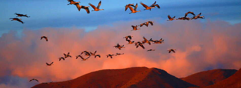 Socorro, New Mexico